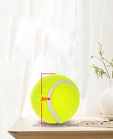 Automatic Tennis Ball Launcher