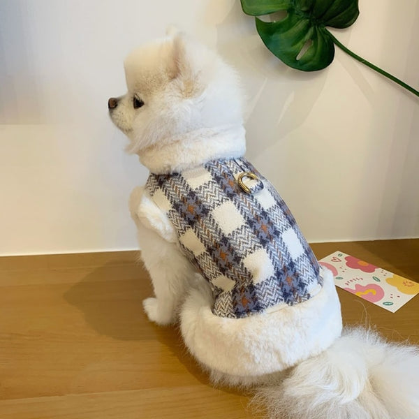 Kawaii Winter Coat For Dog