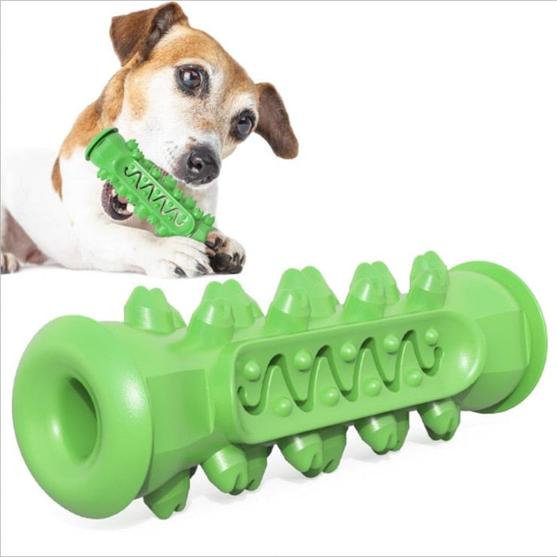  Dog Chew Toothbrush Toy
