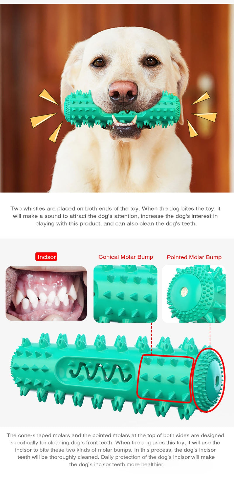  Dog Chew Toothbrush Toy