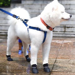 Puppy Outdoor Shoes for Rainy days