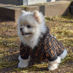 Autumn Winter Fashion Coat
