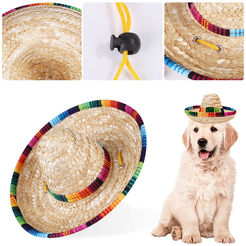 Mexican Dog Hat