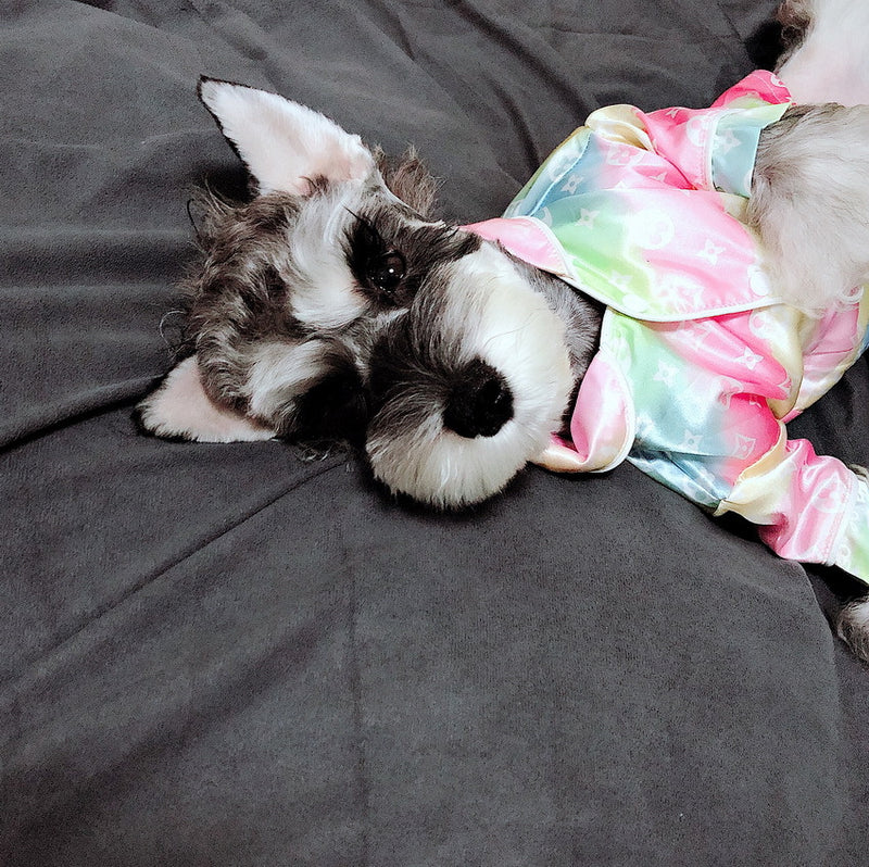 Colorful Dog Pajamas