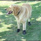 Reflective Waterproof Dog Boots