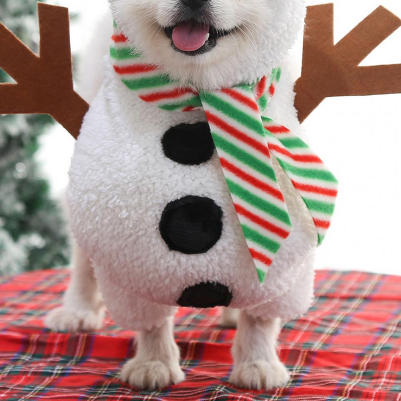 Pet Snowman Costume