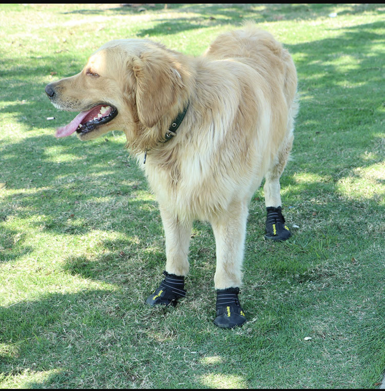 Winter Anti-slip Snow Dog Boots