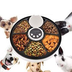 Pet Automatic Timer 6 Grids Food Dispenser
