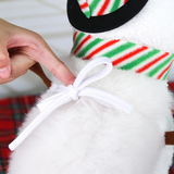 Pet Snowman Costume