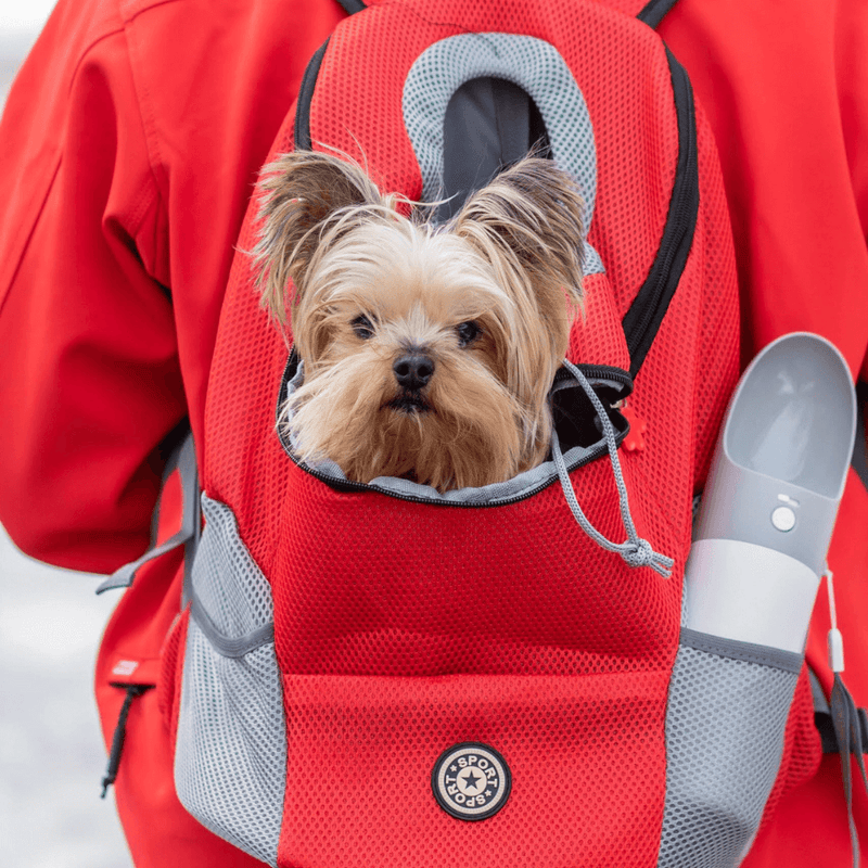 The #1 Dog Backpack Carrier