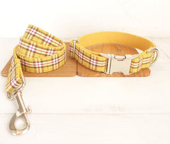 Yellow Matching Collar&Leash