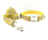 Yellow Matching Collar&Leash