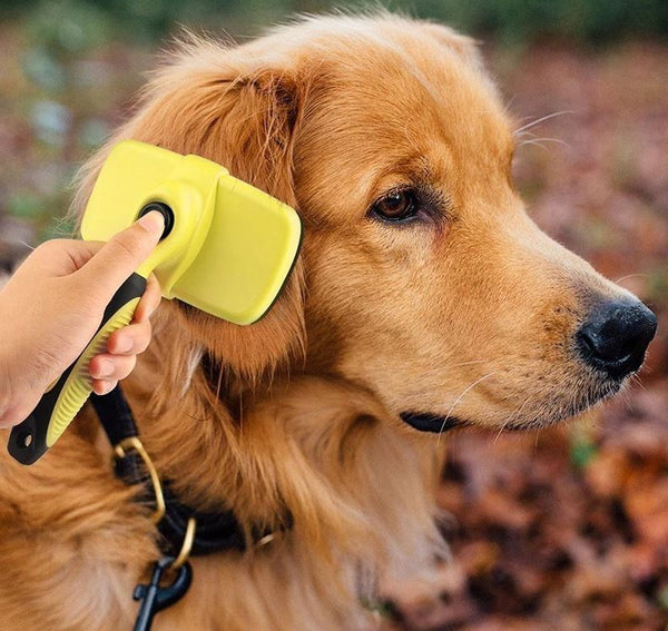 Self-Cleaning Slicker Brush for Dogs