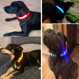 Glow Pet Collar
