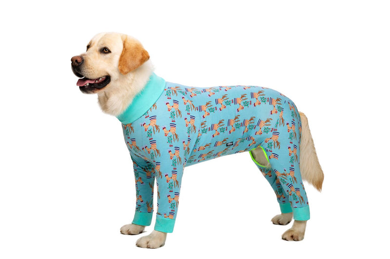 Dog Printed Pajamas