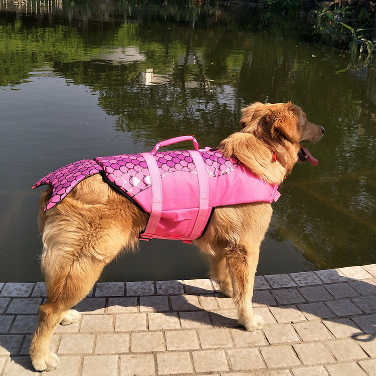 Swimsuit Dog Jacket