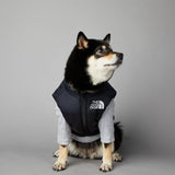 Warm Dog Vest