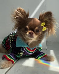 Colorful Adorable Dog Sweater