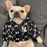 Classy Black Dog Sweater