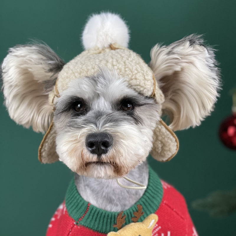 Teddy Dog Hat