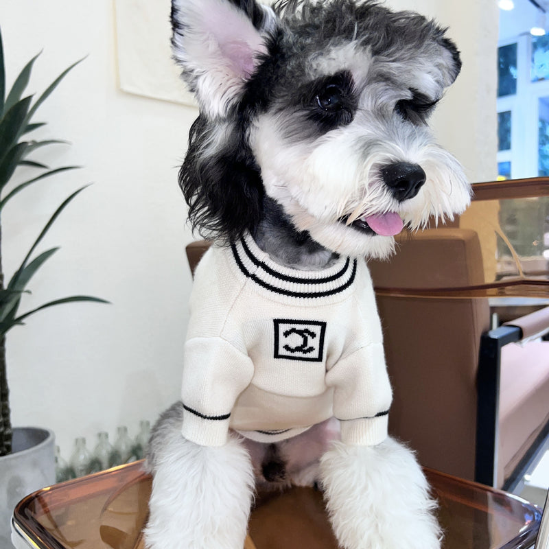 Paris White Dog Sweater
