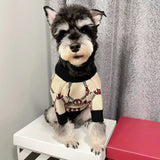 Beautiful Cream Dog Sweater