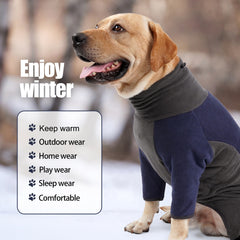 Warm Winter Dog Hoodie