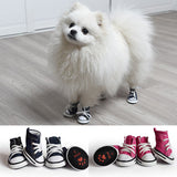 Cute Dog Sneakers