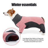 Warm Winter Dog Hoodie