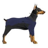 Warm Winter Dog Hoodie