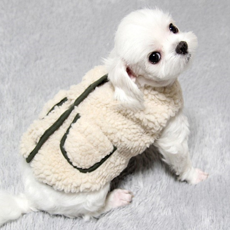 Cotton Plush Coat For Dog with Scarf