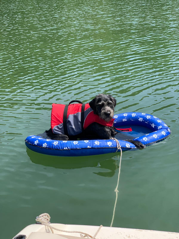 Blue Paw Dog Floating Row