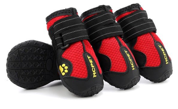 Puppy Outdoor Shoes for Winter and Summer