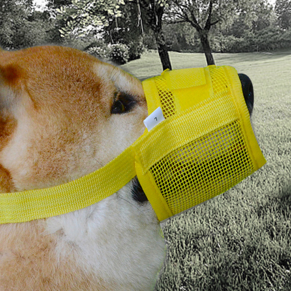 Dog muzzle for deals barking and biting