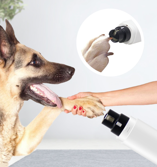 Electric Nail Grinder For Dogs