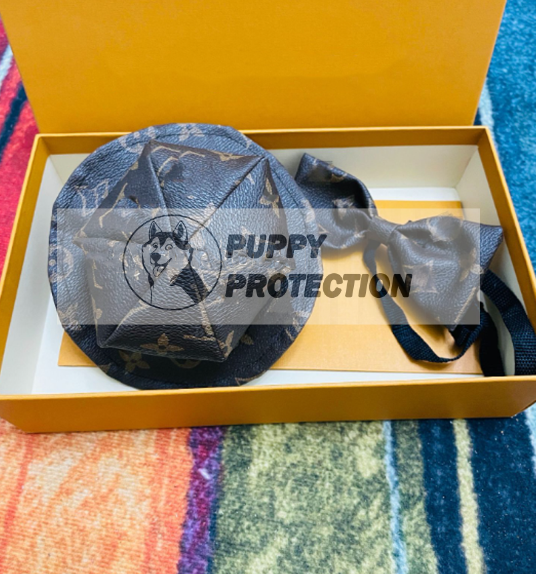 Matchy Chewy Vuitton Collar – Puppy Protection