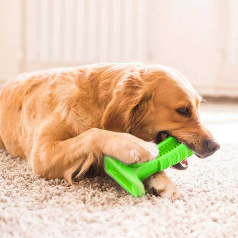 DIY Dog Toothbrush & Chew Toy