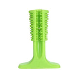 DIY Dog Toothbrush & Chew Toy