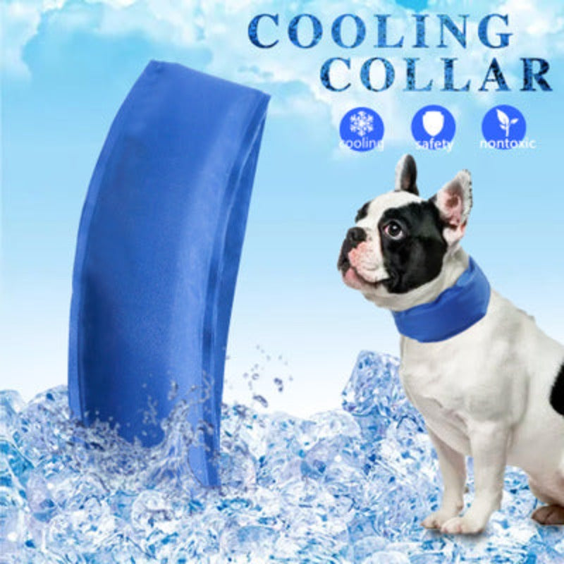 Dog Ice Collar