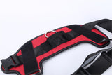 Personalized Safety Dog Harness
