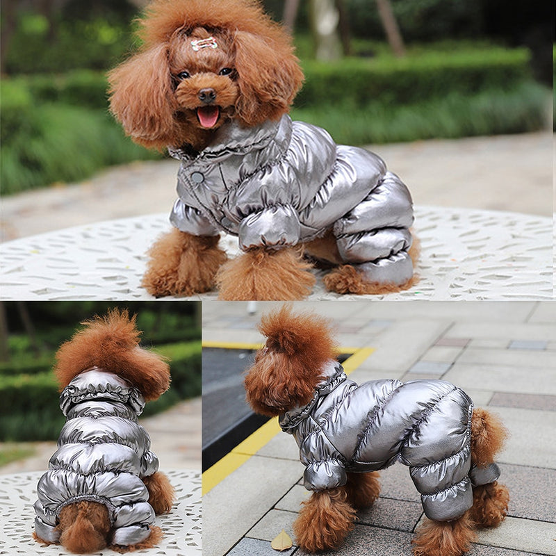 Warm & Shiny Jacket for Dogs