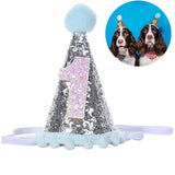 Decorative Shiny Birthday Hat for Dogs Cats