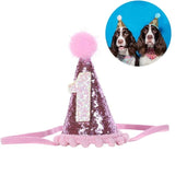 Decorative Shiny Birthday Hat for Dogs Cats