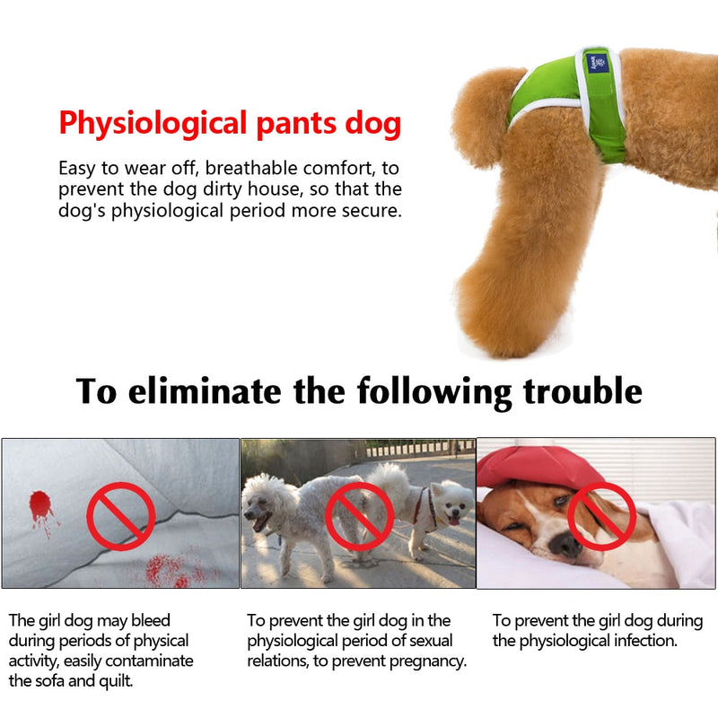 Washable Dog Sanitary Panties