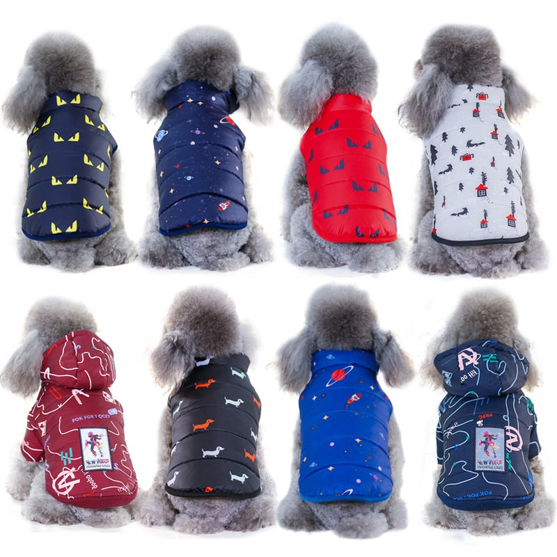 Winter Jackets For Dogs