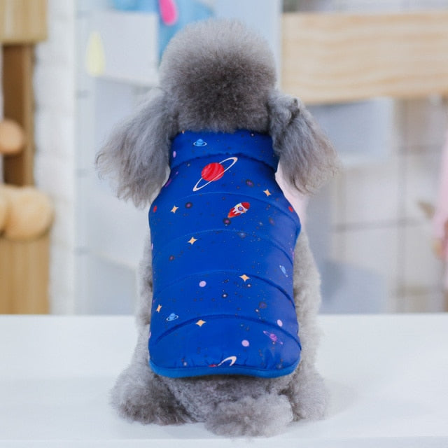 Winter Jackets For Dogs