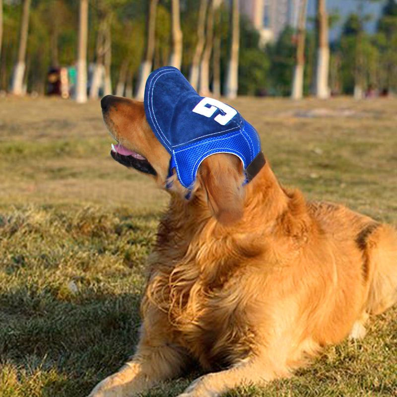 Baseball Sun Cap