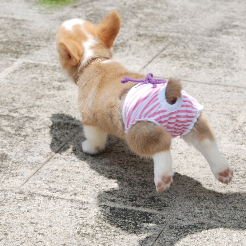 Washable Dog Nappies