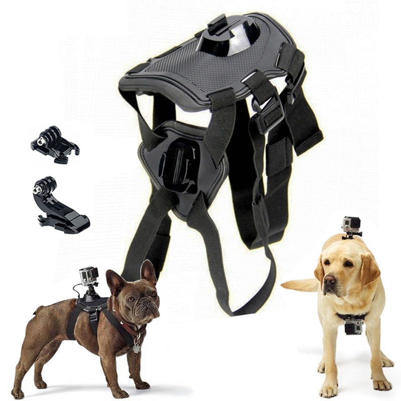 Dog Harness Camera