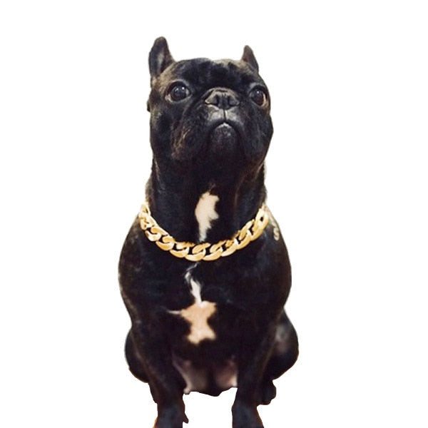Gold Dog Chain